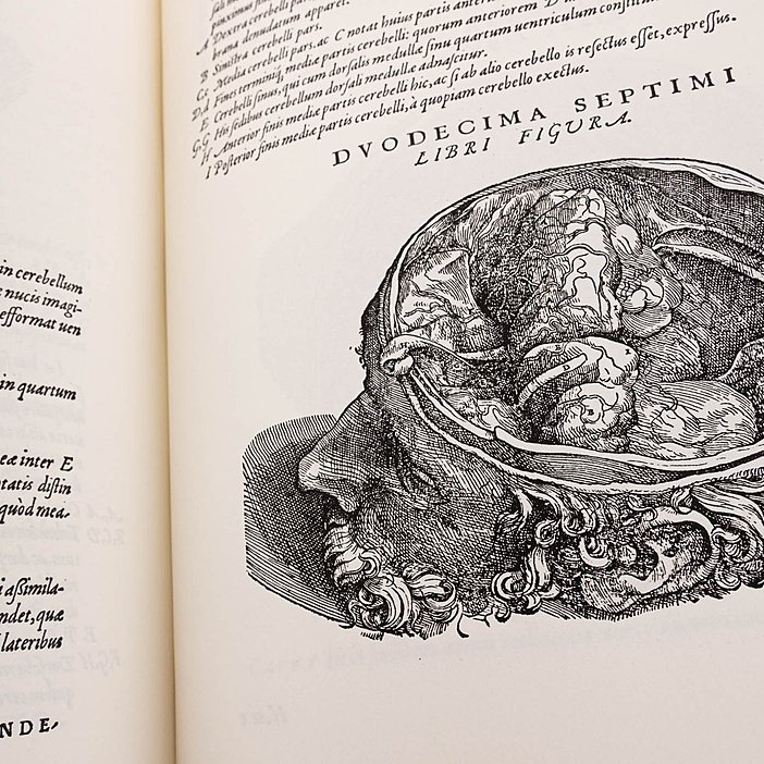  andreas vesalius de humani corporis fabrica facsimile edition 07  